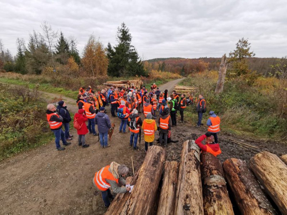 Sternwanderung2 Bild